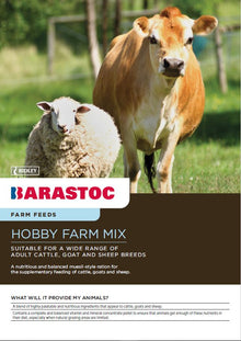 Barastoc Hobby Farm Mix 20kg