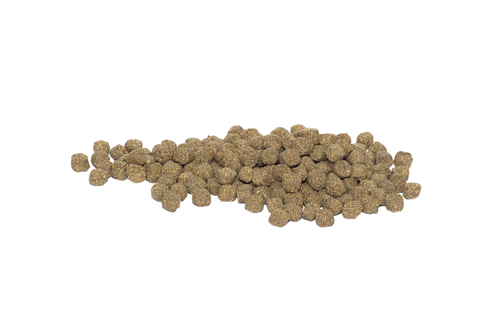 Hygain PRIME EQ® Stage 2 – Late Pregnancy 20kg horse feed bag
