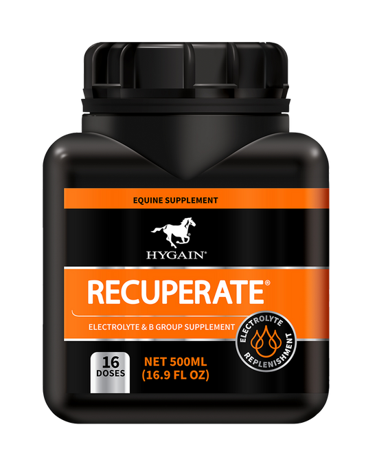 Hygain Recuperate® 500ml