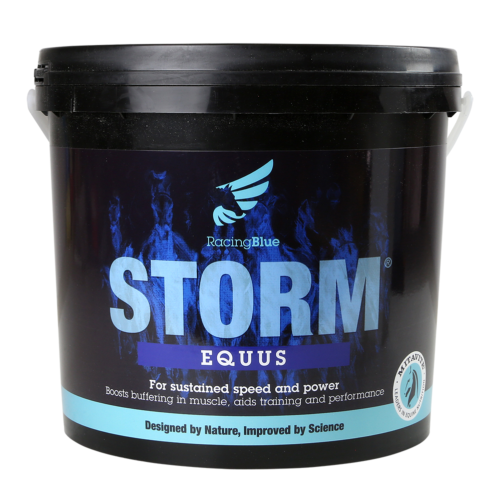 Hygain STORM® Equus 3kg
