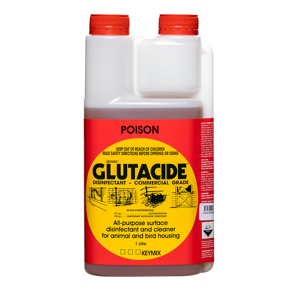 IAH Glutacide 1L
