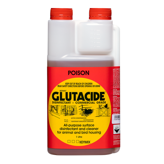 IAH Glutacide 1L