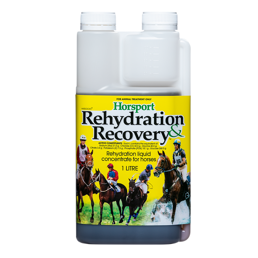 IAH Horsport Electrolyte 1L