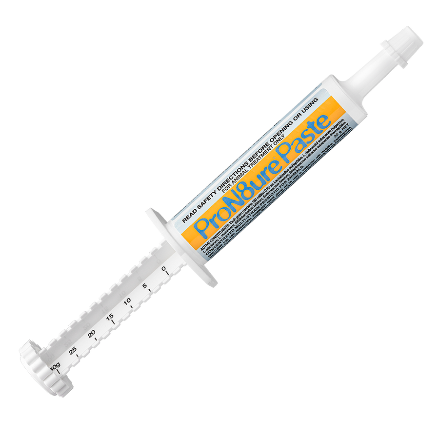 IAH ProN8ure Paste