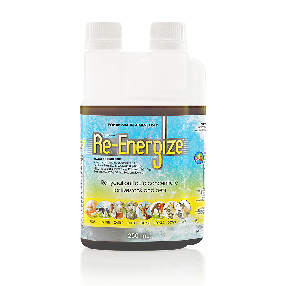 IAH Re-Energize 250mL