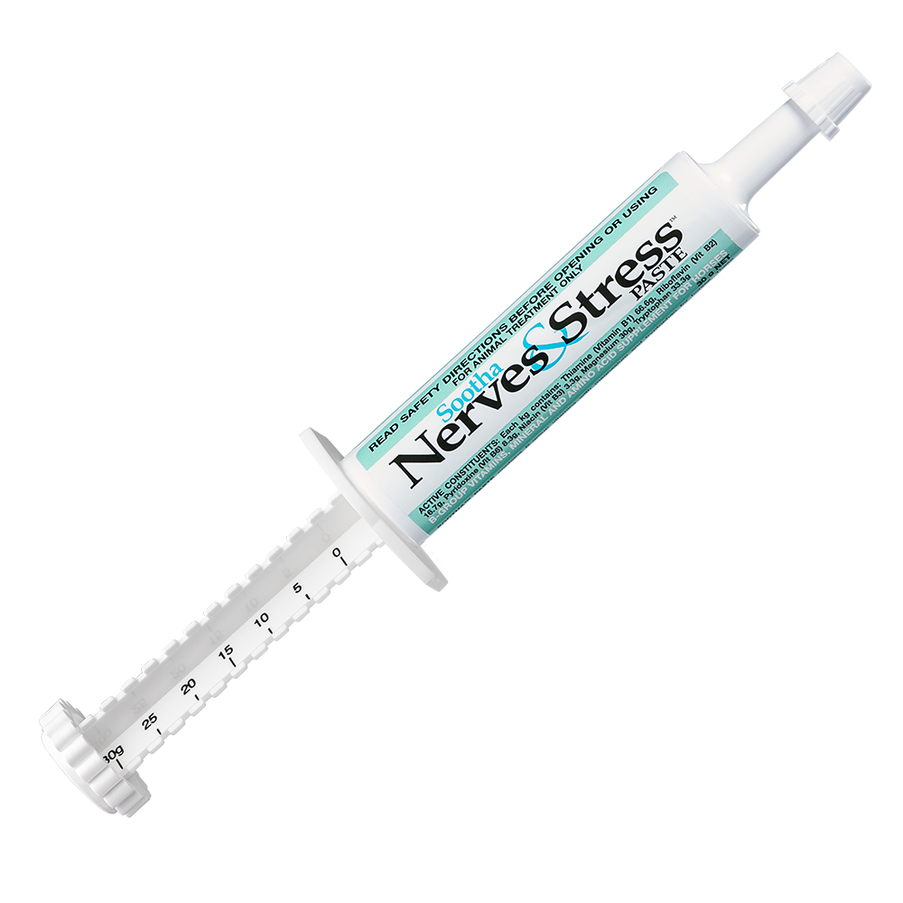 IAH Sootha Paste 30g