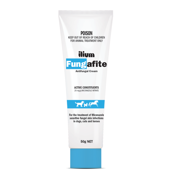 Ilium Fungafite Antifungal Cream 50 g