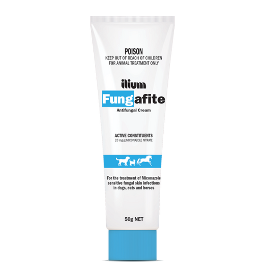 Ilium Fungafite Antifungal Cream 50 g