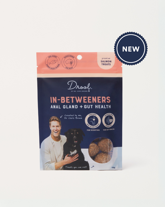 Drool In-Betweeners salmon dog treats 110g