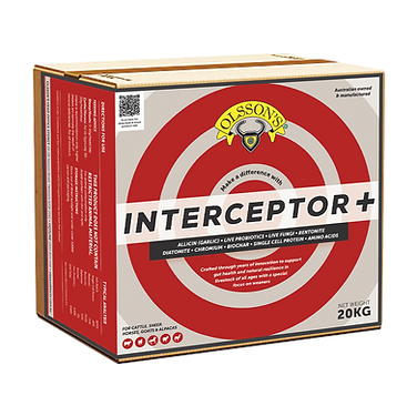 Olssons Interceptor Plus 20kg