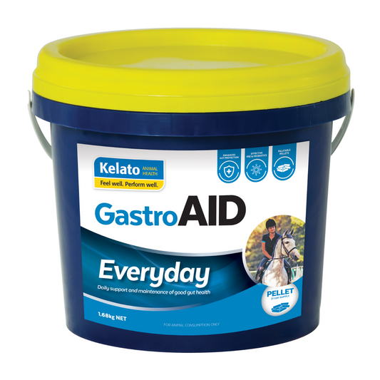 Kelato GastroAID Everyday product image