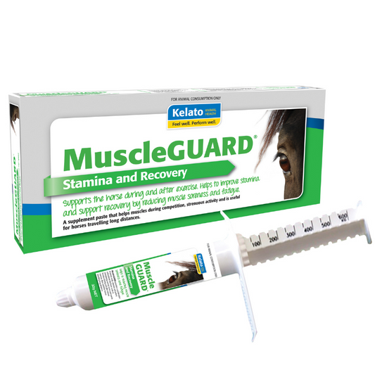 Kelato MuscleGUARD Paste product image