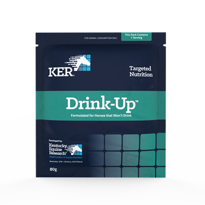 KER Drink-Up Electrolyte 80g Sachet