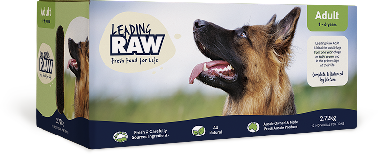 Leading Raw Adult Frozen Dog Food 2.72kg