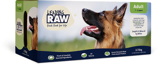 Leading Raw Adult Frozen Dog Food 2.72kg