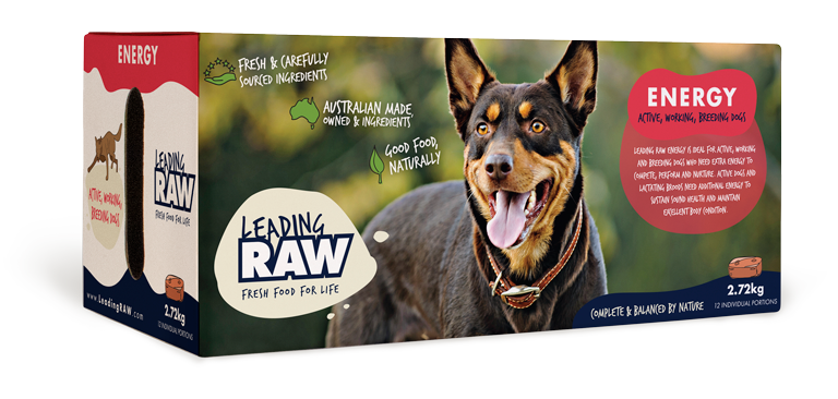 Leading Raw Energy Frozen Dog Food 2.72kg