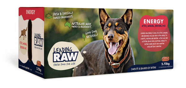 Leading Raw Energy Frozen Dog Food 2.72kg