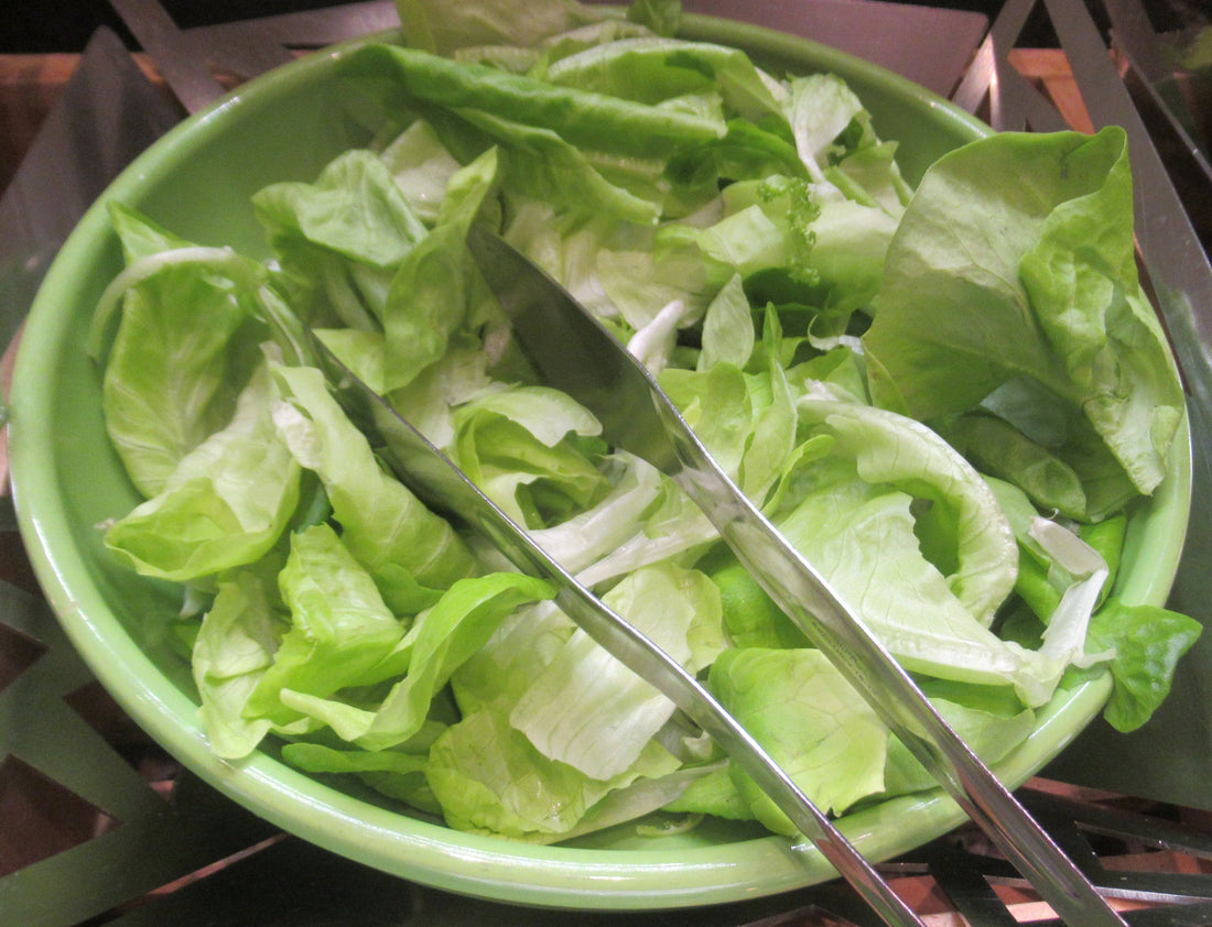 Representative butterhead lettuce for May Queen. Photo: P1898, Wikimedia Commons, CC BY 4.0.