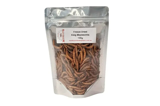 Minibeasts Freeze Dried King Mealworms 100g
