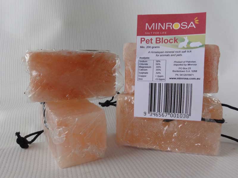 Minrosa Pet Salt Lick Block with string 200g