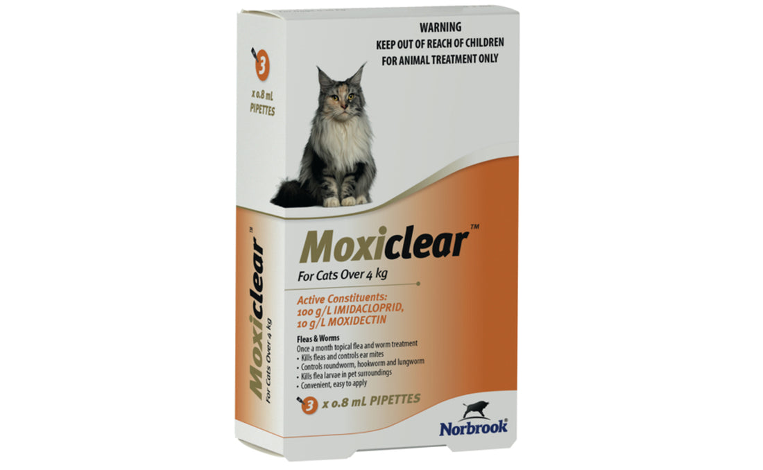 Moxiclear for Cats over 4kg 3 Pack