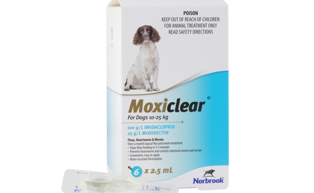 Moxiclear for Dogs 10-25kg 6 Pack