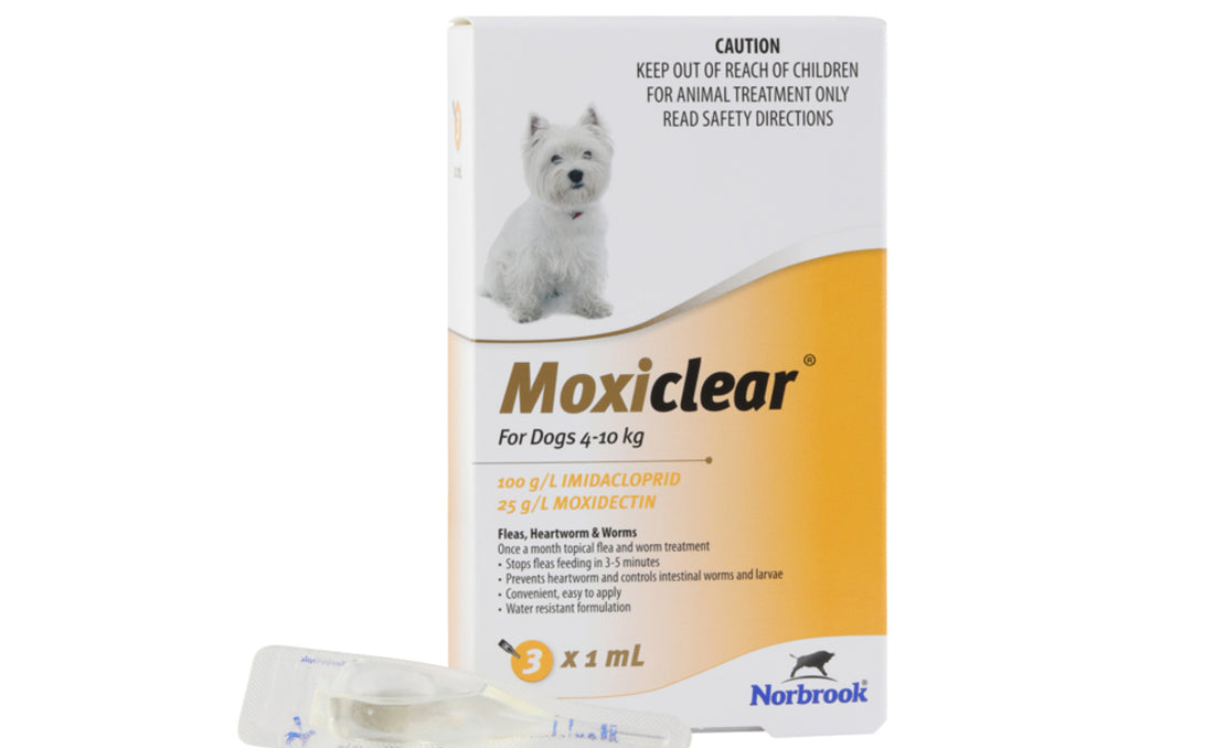 Moxiclear for Dogs 4-10kg 3 Pack