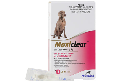 Moxiclear for Dogs over 25kg 3 Pack