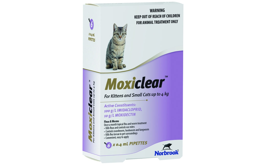 Moxiclear for Kittens, Small Cats & Ferrets up to 4kg 6 Pack