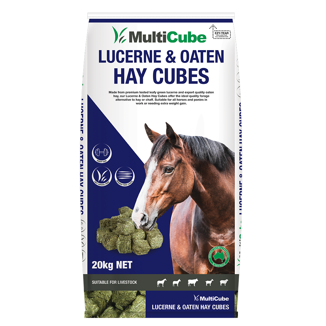 Multicube Lucerne and Oaten Hay Cubes 20kg bag