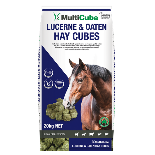 Multicube Lucerne and Oaten Hay Cubes 20kg bag