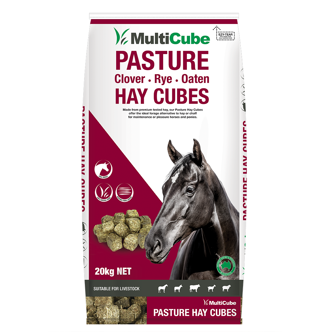 Multicube Pasture Hay Cubes 20kg bag