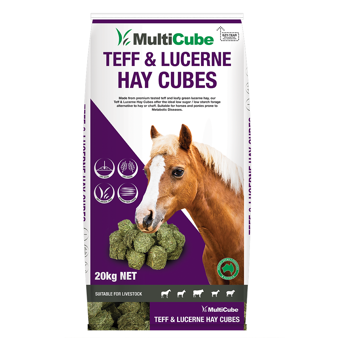 Multicube Teff and Lucerne Hay Cubes 20kg bag