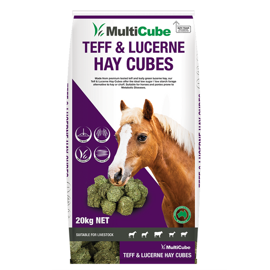 Multicube Teff and Lucerne Hay Cubes 20kg bag