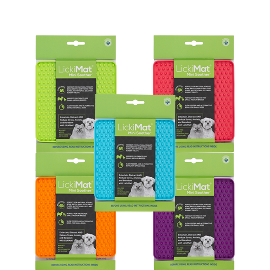 LickiMat Mini Soother colours
