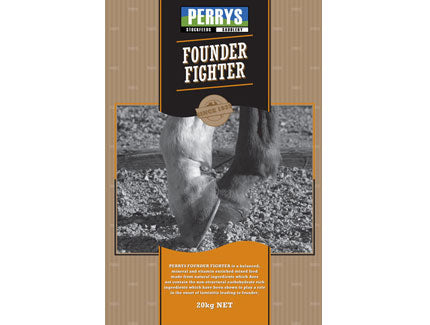 Perry's Founder Fighter 20kg