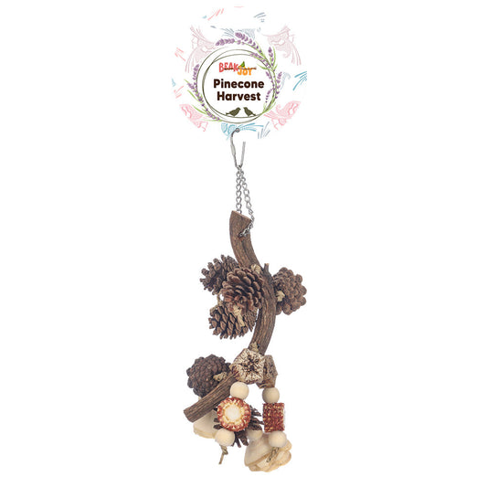 Beak Joy Pinecone Harvest