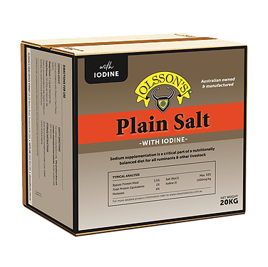 Olssons Plain Salt Iodised Block 20kg
