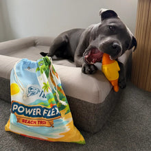 Happy Staffy Co PowerFlex™ Beach Trip 2