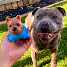 Happy Staffy Co PowerFlex™ Beach Trip 4