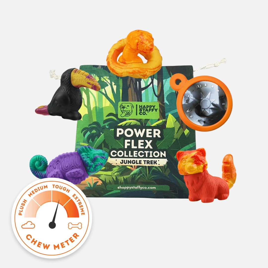 Happy Staffy Co PowerFlex™ Jungle Trek 1