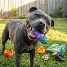 Happy Staffy Co PowerFlex™ Jungle Trek 2