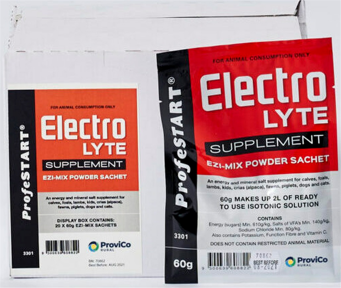 ProfeSTART Electrolyte Powder Ezi-Mix 60g individual sachet