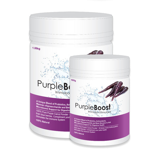 LifeWise Purple Boost Probiotic & Antioxidant Supplement 1.08kg bag 1