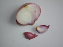Representative onion crop image.