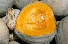 Representative pumpkin crop image sourced from Eden Seeds.