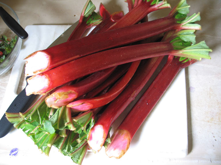 Representative rhubarb crop image.