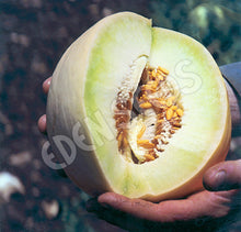Representative rockmelon crop image sourced from Eden Seeds.