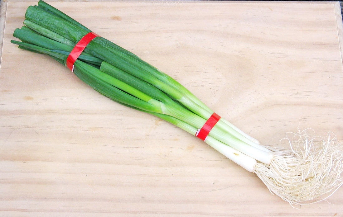 Representative spring onion crop image.
