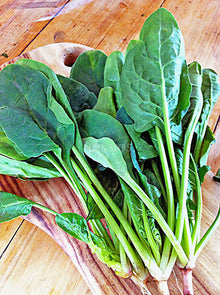 Representative spinach crop image sourced from Eden Seeds.